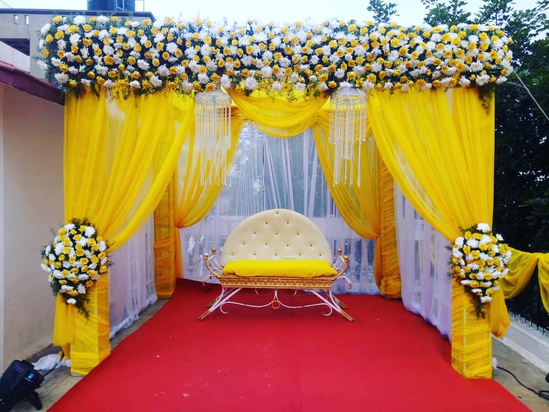 Yellow Orchids Setup